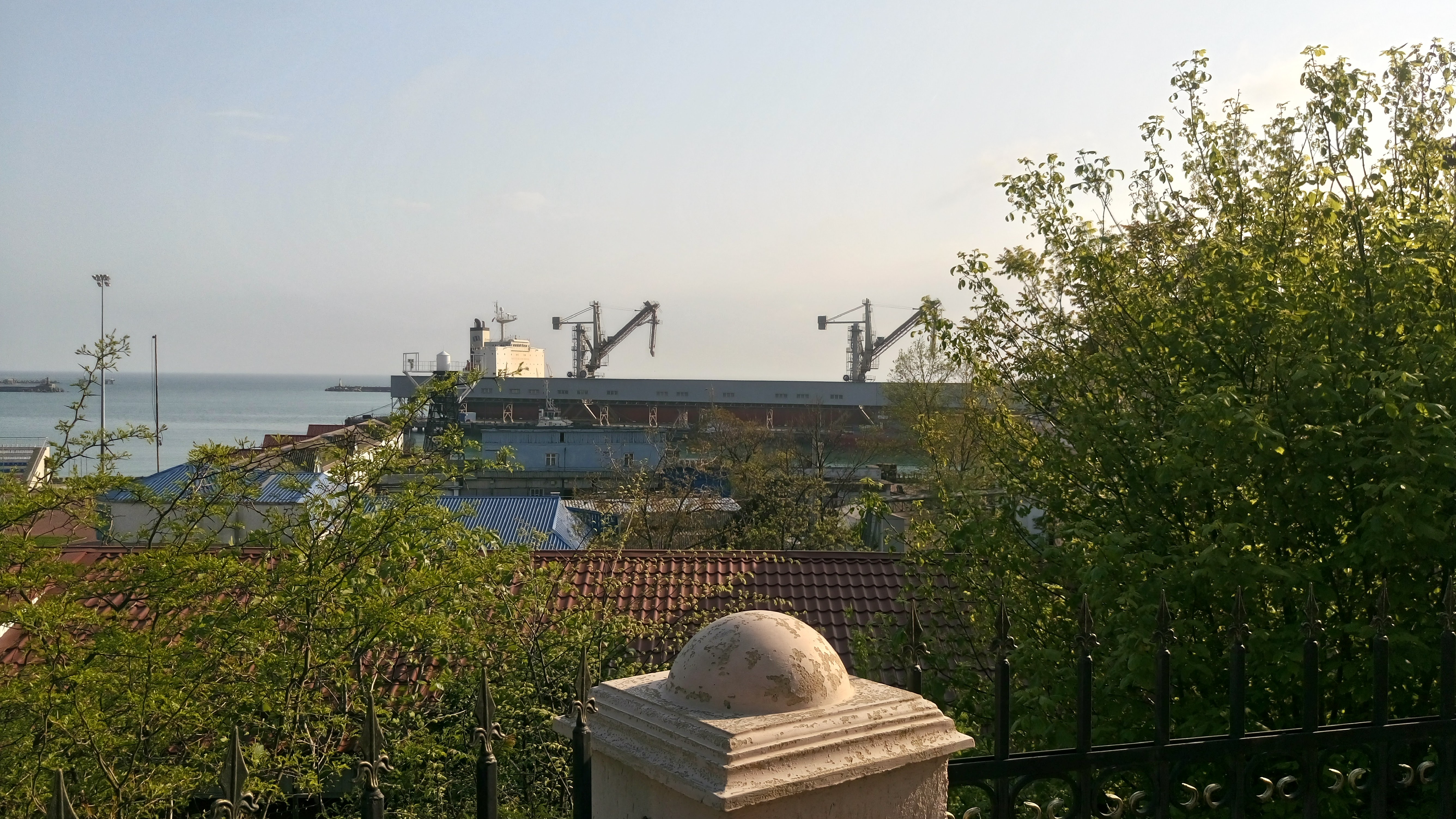 Blog Image